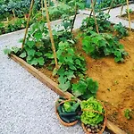 Charming House Atalaia + Pool